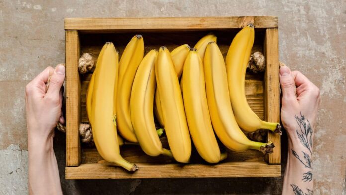 banana-peel-tem-utilitarios-incriveis-que-voce-precisa-saber banana-peel-tem-utilitarios-incriveis-que-voce-precisa-saber