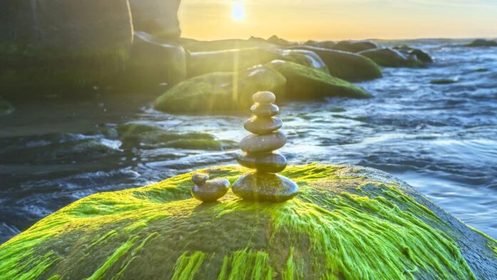 12-feng-shui-dicas-para-aumentar-a-energia-de-cada-sinal 12-feng-shui-dicas-para-aumentar-a-energia-de-cada-sinal