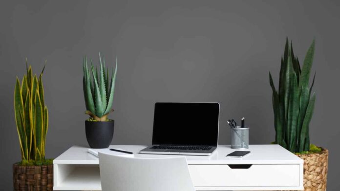 a-fabrica-de-escritorios-da-planta-ideal-que-ajuda-no-foco-e-decora-a-casa a-fabrica-de-escritorios-da-planta-ideal-que-ajuda-no-foco-e-decora-a-casa