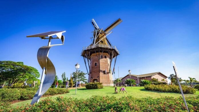 a-holanda-brasileira-e-modelo-em-qualidade-de-vida-e-conquista-com-eternos-campos-de-flores-de-tirar-o-folego a-holanda-brasileira-e-modelo-em-qualidade-de-vida-e-conquista-com-eternos-campos-de-flores-de-tirar-o-folego