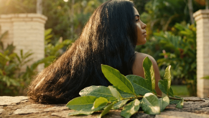 a-planta-secreta-do-jaborandi-que-promete-restaurar-a-cor-natural-do-cabelo-e-reduzir-os-cabelos-grisalhos a-planta-secreta-do-jaborandi-que-promete-restaurar-a-cor-natural-do-cabelo-e-reduzir-os-cabelos-grisalhos